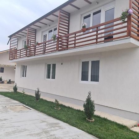 Luca'S House Apartment Balotesti Ngoại thất bức ảnh
