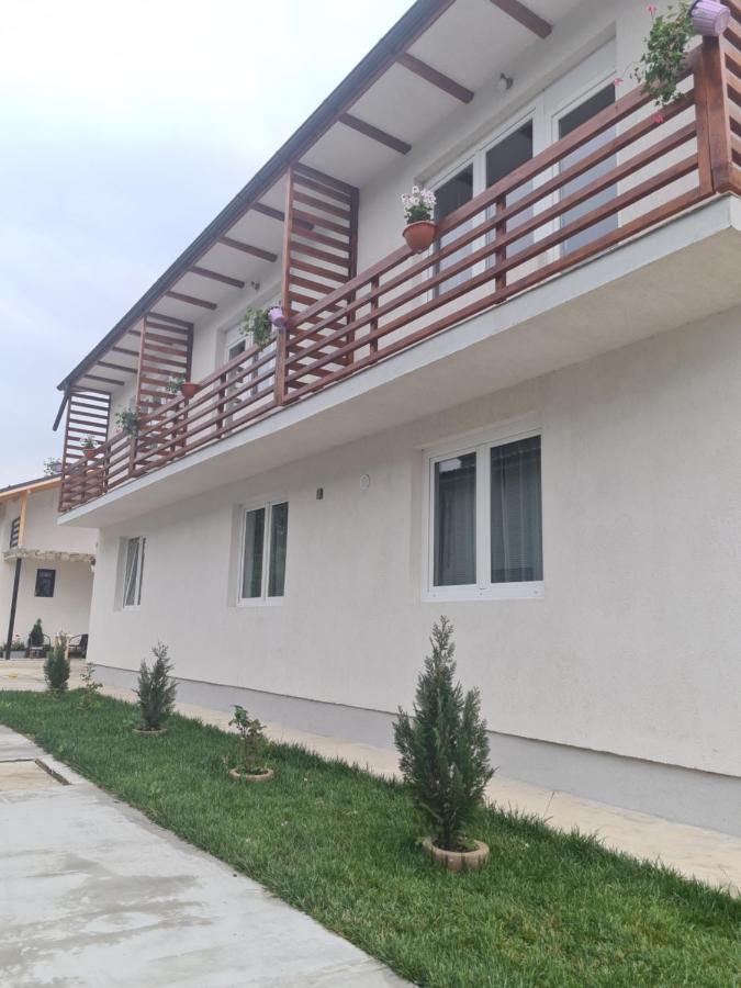 Luca'S House Apartment Balotesti Ngoại thất bức ảnh