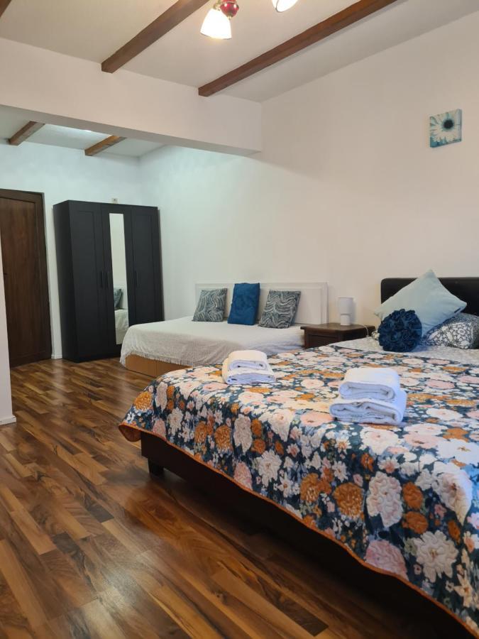 Luca'S House Apartment Balotesti Ngoại thất bức ảnh